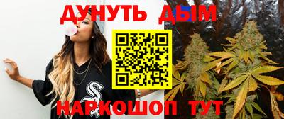 гидра Гатчина