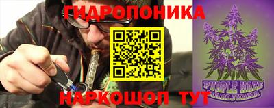 гидра Гатчина