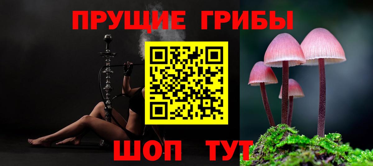 Галлюциногенные грибы прущие грибы  Галлюциногенные грибы MAGIC MUSHROOMS  Узловая  хочу наркоту  Вход с VPN 