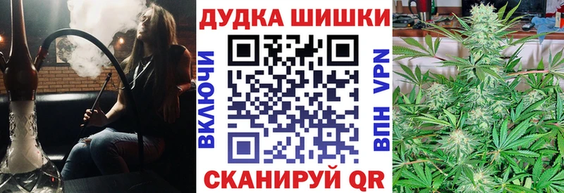 где продают   Узловая  Каннабис сатива 